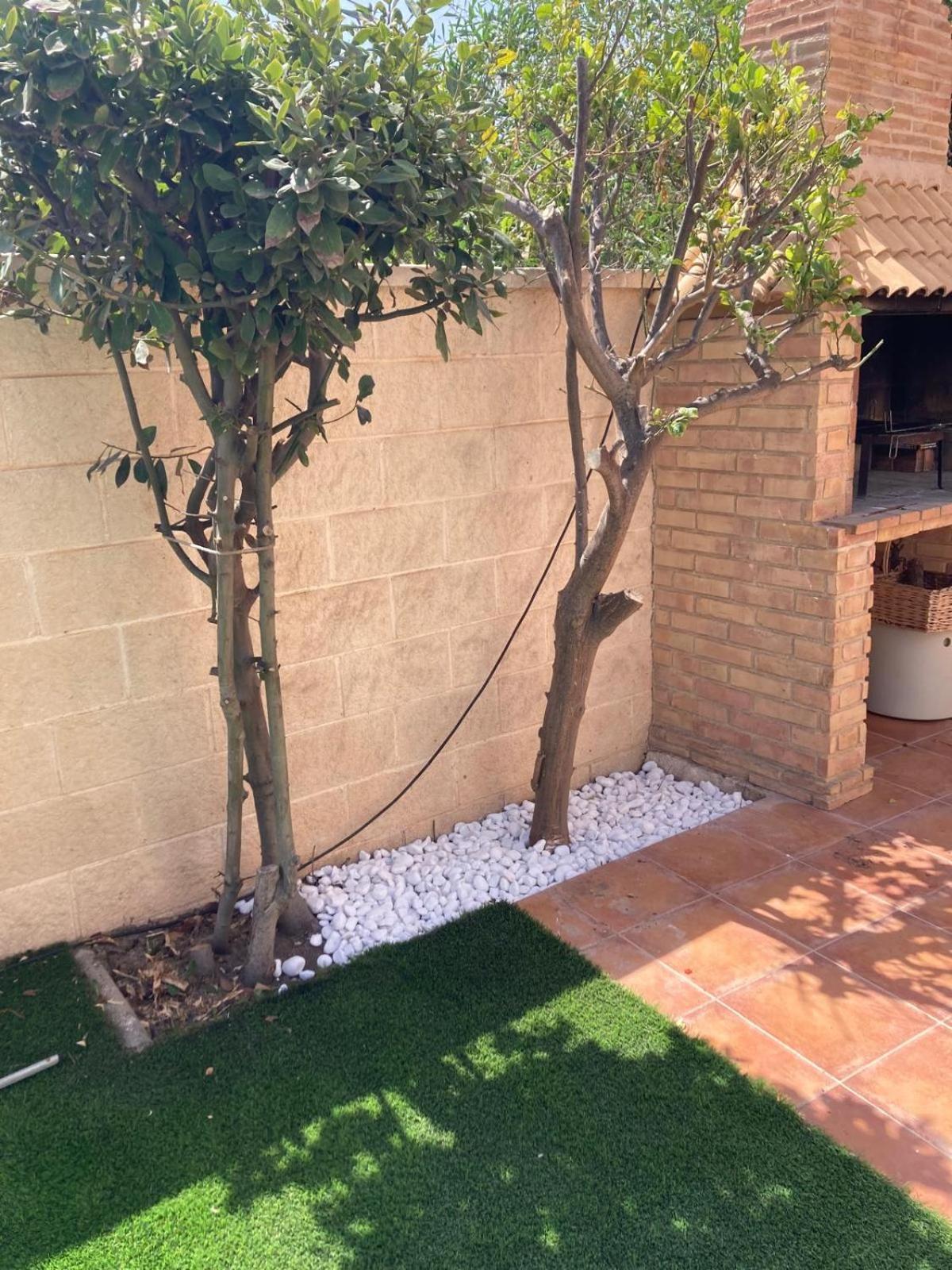 Luxury Villa 20Mts Far From The Sea Oriola  Exterior foto